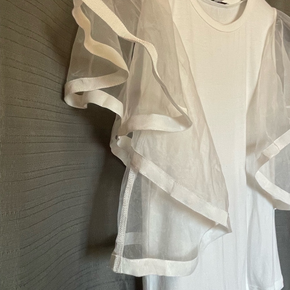 Endless Rose top with organza sleeves - Picture 3 of 8